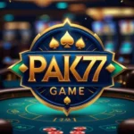 PAK77 Game