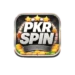 PKR Spin Game